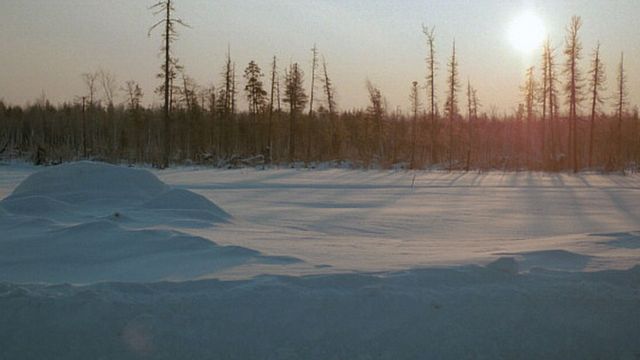 Это Последний Маньяк Новый Год Это Последний Маньяк Новый Год