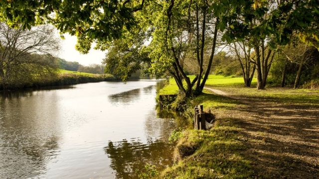 Река Медвей в Кенте