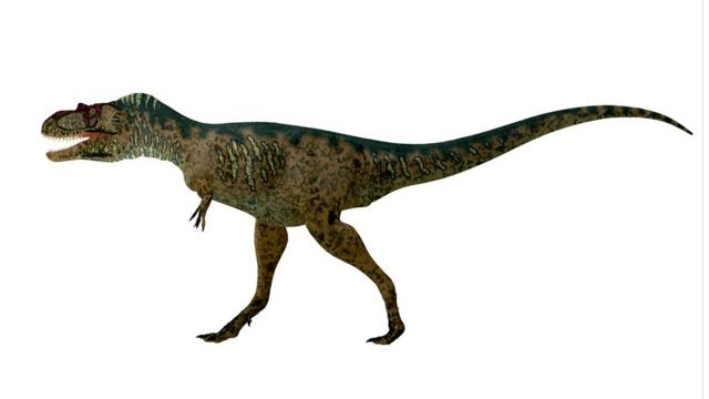 艾伯塔龍屬（Albertosaurus）