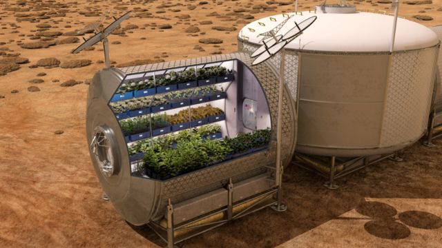 นาซามีแผนจะเพาะปลูกพืชเพื่อเป็นอาหารของมนุษย์ในอาณานิคมต่างดาว