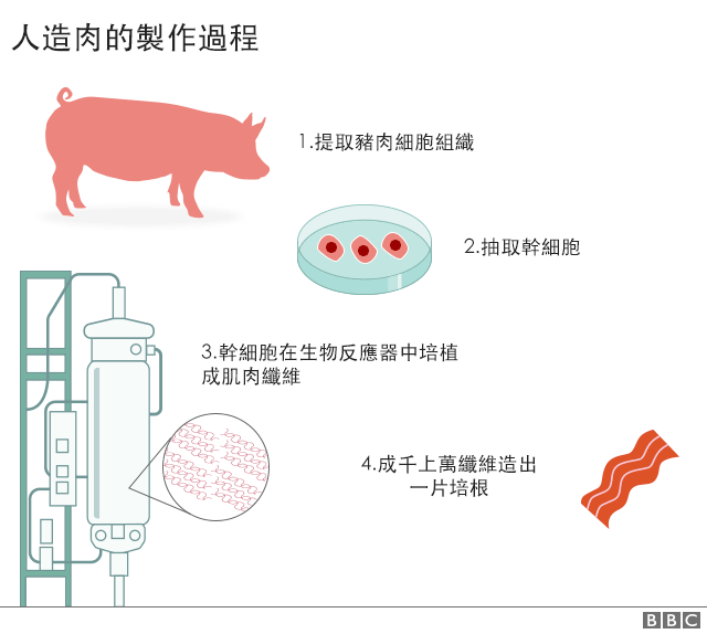 英国实验人造肉细胞变火腿科幻如何成现实 Bbc 英伦网