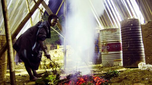 வெட்டுக்கிளிகள் உண்மையில் மாட்டிறைச்சிக்கு மாற்றாக முடியுமா?