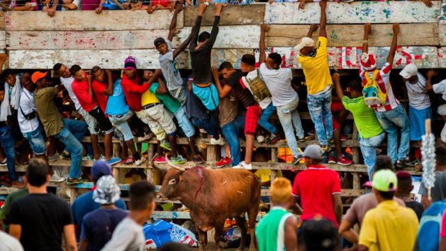 Los toreros aficionados se cuelgan de las gradas en la corraleja en Soplaviento, Colombia. Diciembre 17 de 2017