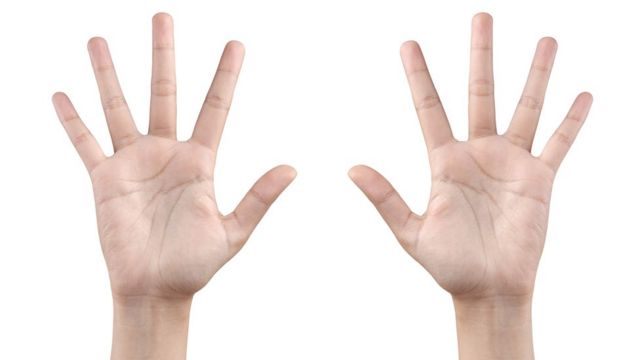 女性の指の長さは 性的指向と関係 か 英研究 cニュース
