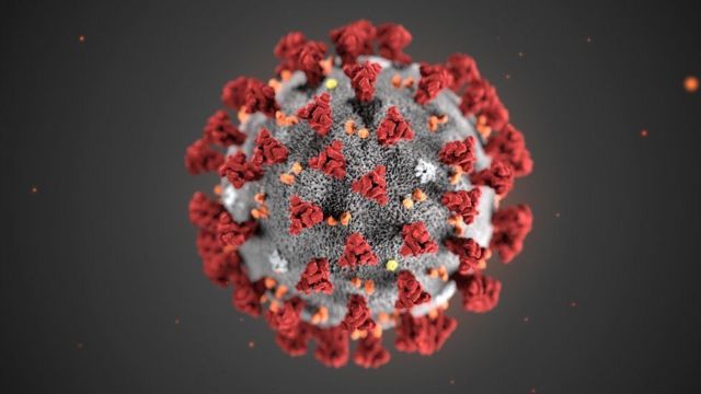 Une illustration montrant la structure du nouveau coronavirus