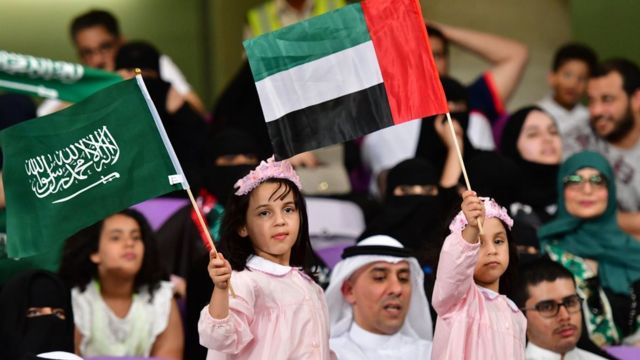 صورة تجمع علم دولة الإمارات والمملكة العربية السعودية ضمن بطولة كأس الخلبج