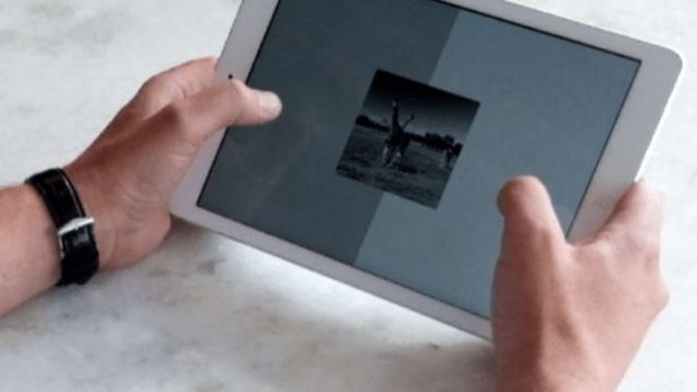 Pessoa com iPad, que mostra imagem de animal