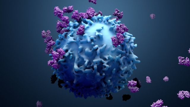 De dónde viene el cáncer y por qué no ha desaparecido con la evolución? -  BBC News Mundo