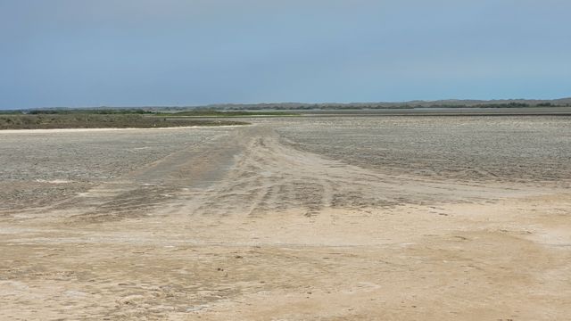 Huellas en el suelo del área protegida frente a las instalaciones de SpaceX