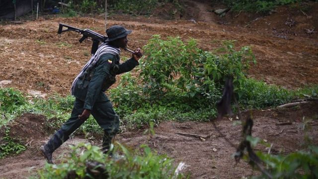 Suuraa kuusaa keessaa: miseensa riphee loltotaa Kolombiyaa FARC jedhamu Ammajjii 16, 2017.
