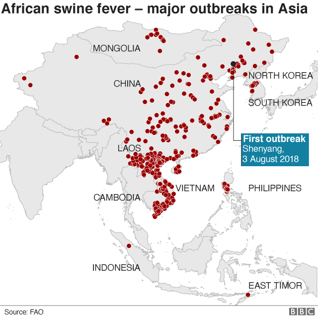 African swine fever: Fears rise as virus spreads to Indonesia - BBC News