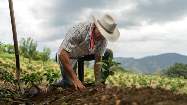 https://ichef.bbci.co.uk/news/640/cpsprodpb/12D57/production/_110634177_gettyimages-668076810.jpg