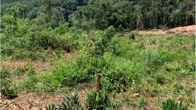 Área desmatada em Parelheiros