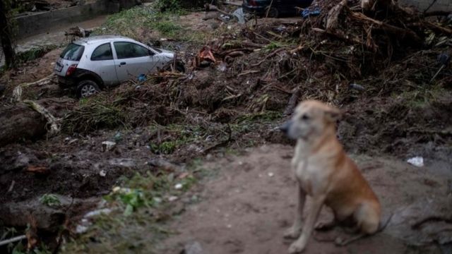 A dog sits near a damaged car after heavy rains in the Taquara neighbourhood, suburbs of Rio de Janeiro, Brazil. Photo: 2 March 2020