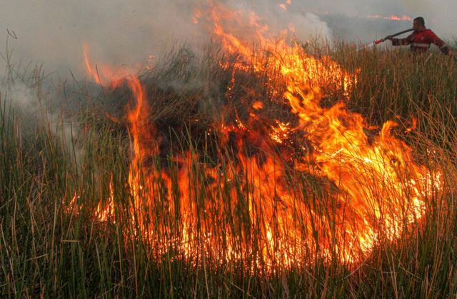 Incêndio em mata no sul de Sumatra, na Indonésia