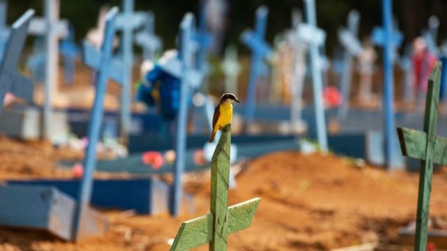 Cemitério com cruzes em homenagens a mortos