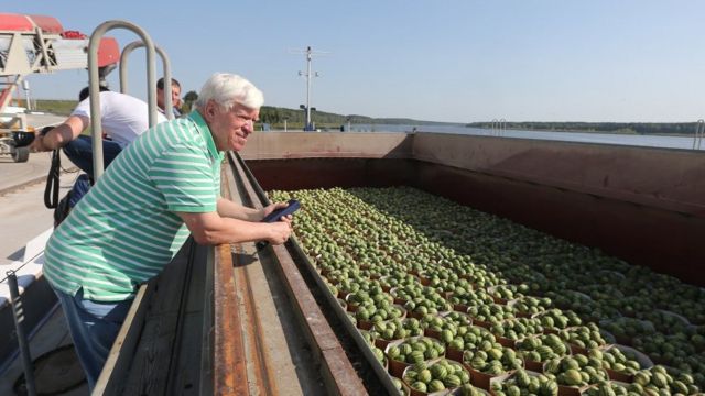 Вадатурський