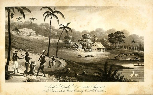 Plantación de Charles Edmonstone, Mibiri Creek, río Demerara en Guyana.