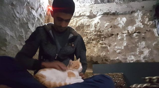 고양이가 사람보다 더 많은 시리아의 한 마을 - Bbc News 코리아