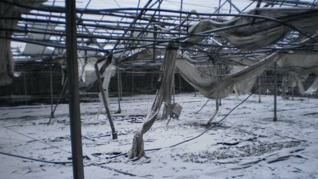 The ruined nursey in Donetsk