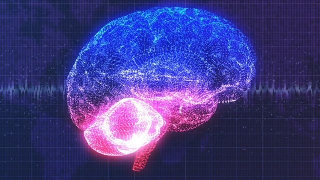 Cerebro