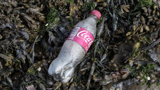Botella de coca-cola tirada en una playa