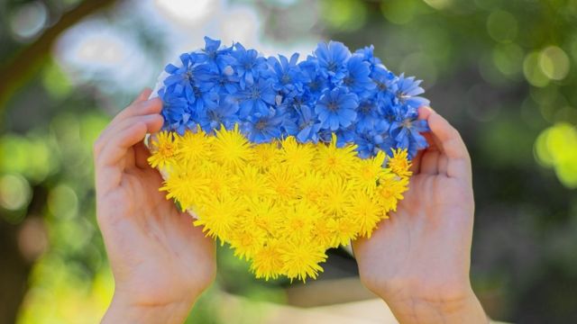 Як добре ви знаєте українську мову: тест 4 - BBC News Україна