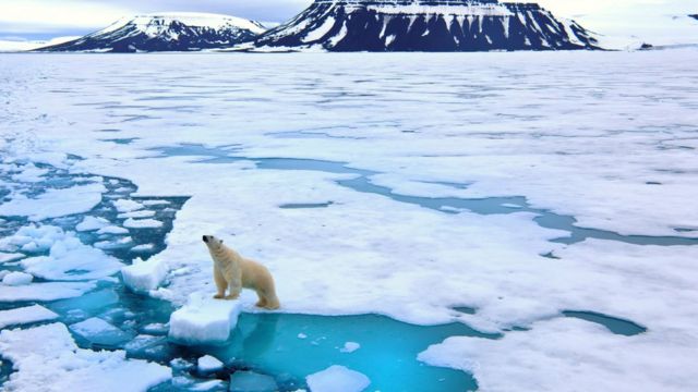 Paisagem do ártico, com montanhas ao fundo, placas de gelo no mar e um urso polar