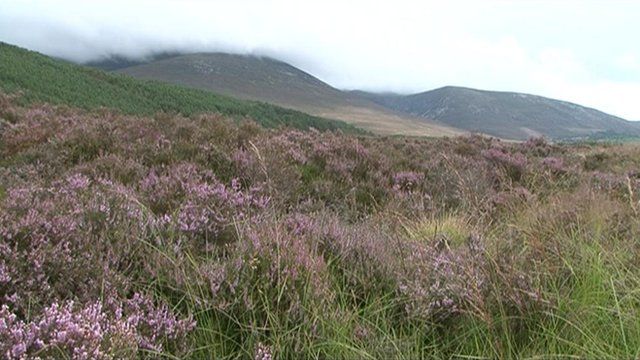 Fraoch