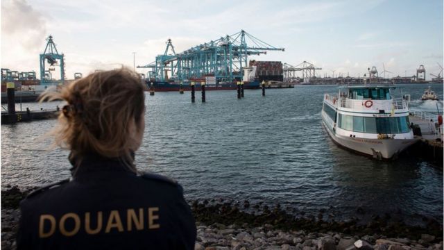 Mañana Presa Ligadura Por qué el puerto belga de Amberes es el favorito de los narcotraficantes  de América Latina en Europa - BBC News Mundo