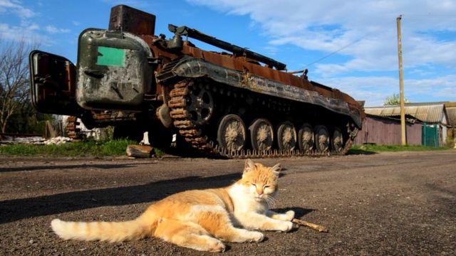 Просто колонной ехали, как на парад". Как сотрудник штаба Навального попал на войну и отказался ее продолжать - BBC News Русская служба