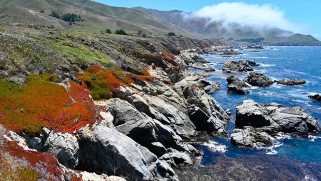 Una costa rocosa de California
