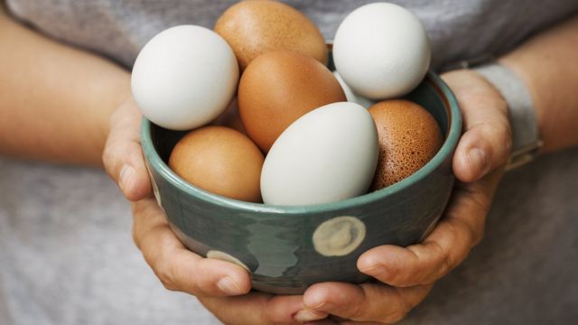 கோழி முட்டை.