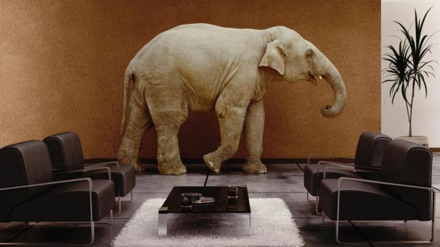 Elefante