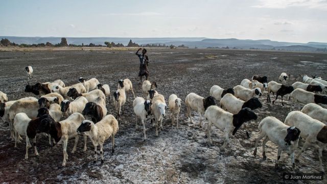 Hồ Abbe, nơi tận cùng thế giới nứt thành đại dương - BBC News Tiếng Việt