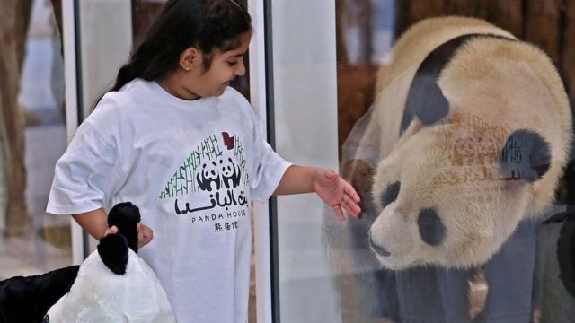 Children interact with Chinese giant pandas through glass