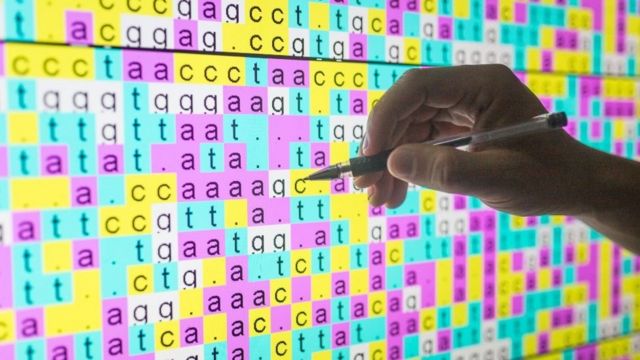 Los científicos lograron leer el orden de los 3.000 millones de pares de bases o bloques de construcción del ADN en el genoma humano..