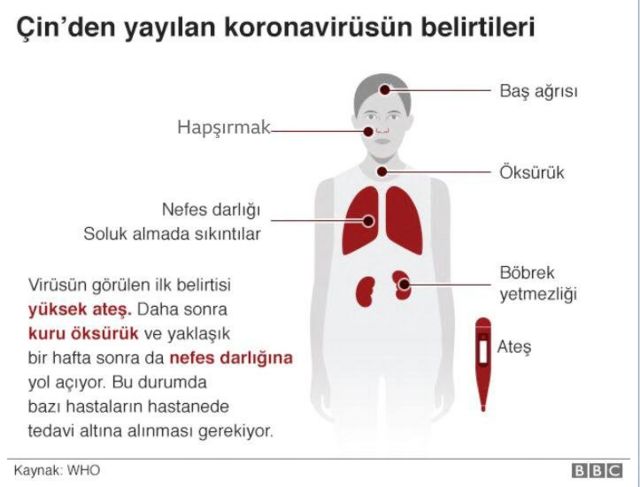 Covid-19: Koronavirüse Karşı Aşı Geliştirmek Için Bilim Insanları ...