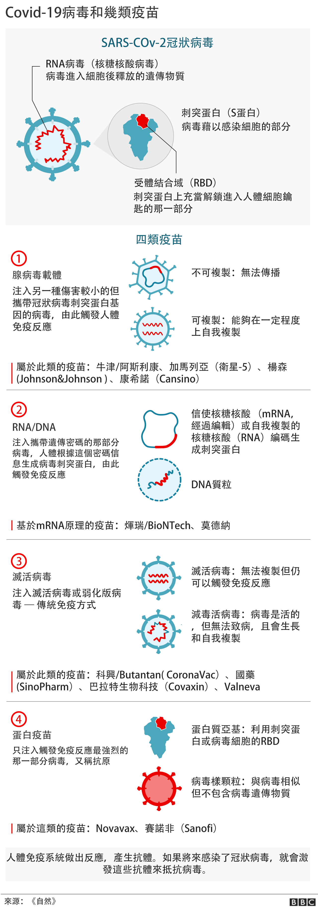 新冠疫苗 一针 二针或者三针 等问题背后的科学道理 c News 中文