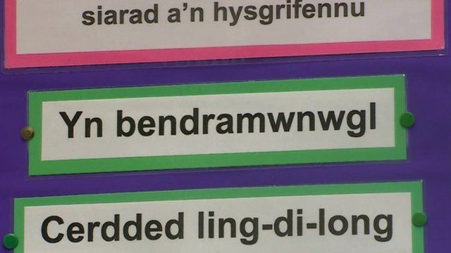 Iaith gymraeg