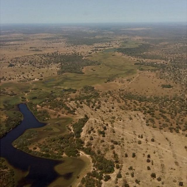 Desmatamento no Pantanal