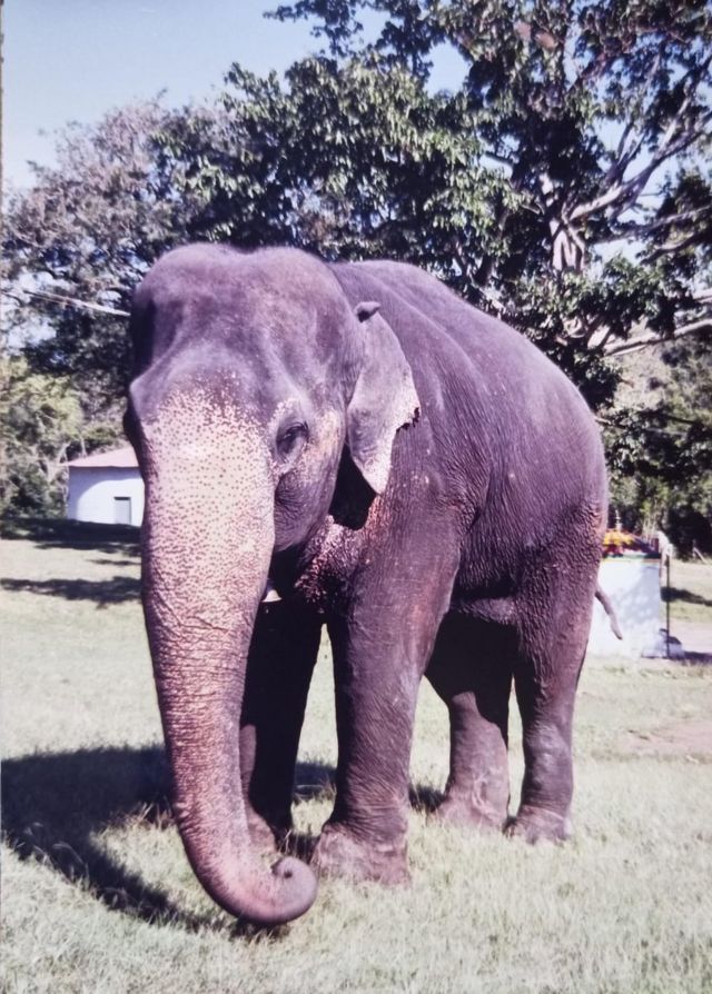 காலில் சங்கிலியால் ஏற்பட்ட தழும்பு