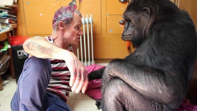 Bassist Flea with Koko the gorilla