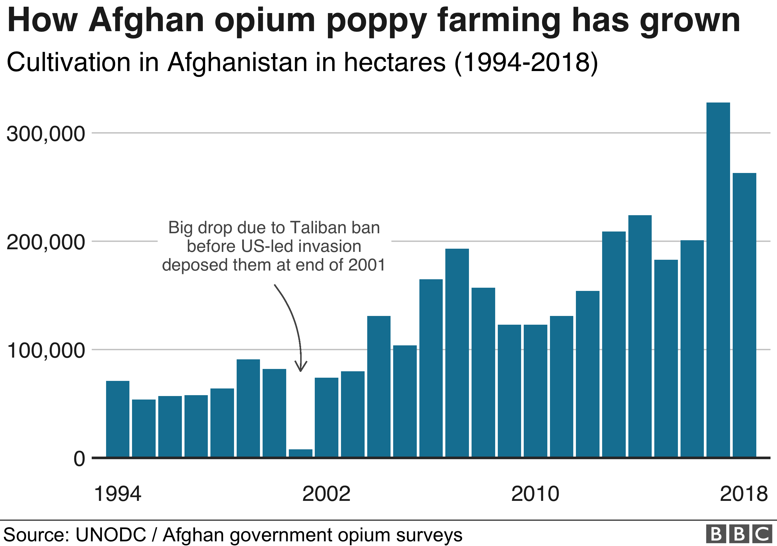 Chart: Afghanistan Poppy Cultivations Down 95 Percent in 2023