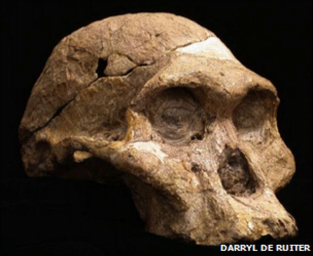 குகைவாழ் பெண்ணின் புதைபடிம எச்சம்