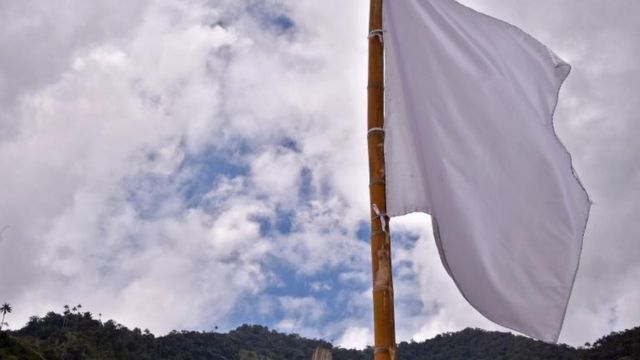 Imagen de una bandera blanca tomada en una de las áreas de las FARC.