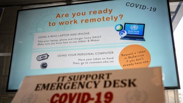 Virus corona: Làm việc ở nhà trong thời chống dịch thế nào - BBC News Tiếng Việt