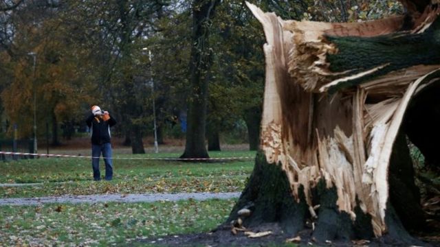 Последствия шторма