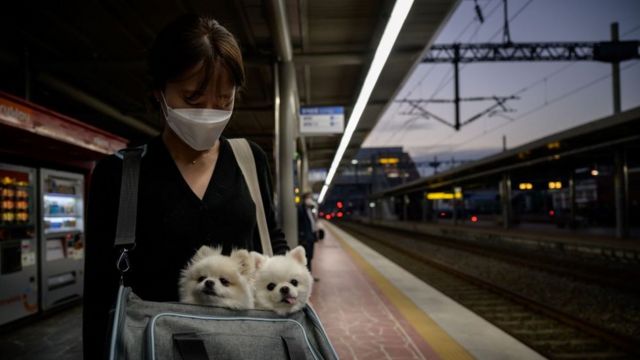 Mujer esperando un tren con dos perros