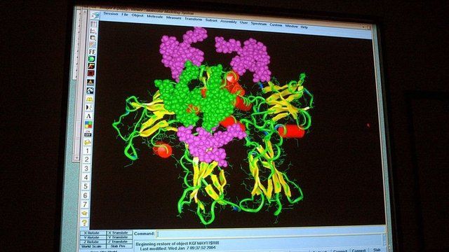 The computer shows the protein that binds to the receptor